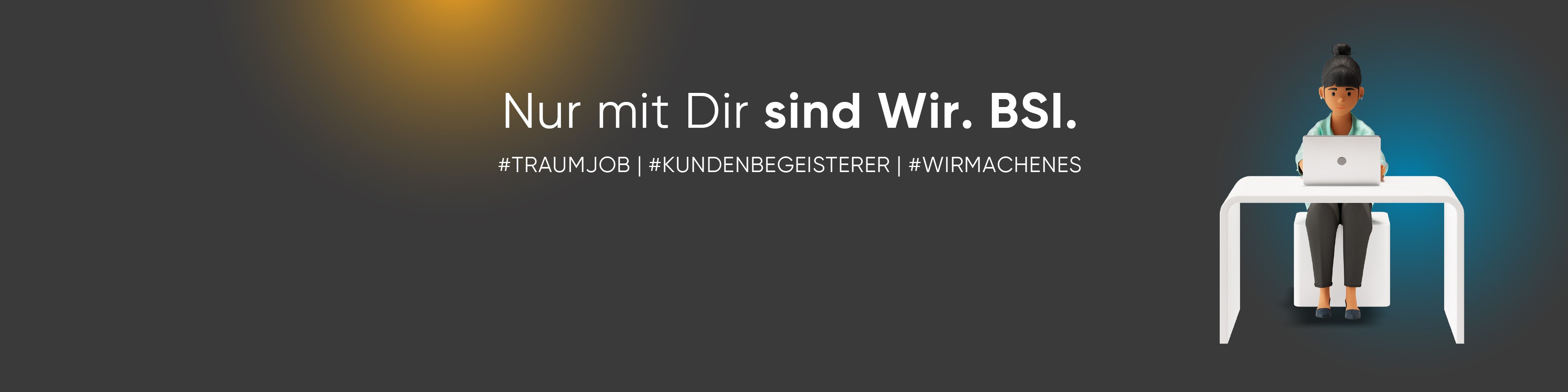 BSI Business Systems Integration Deutschland GmbH-cover-image